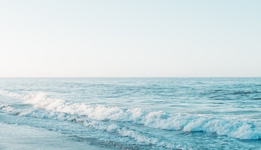 FC.leste U-15@2025年度